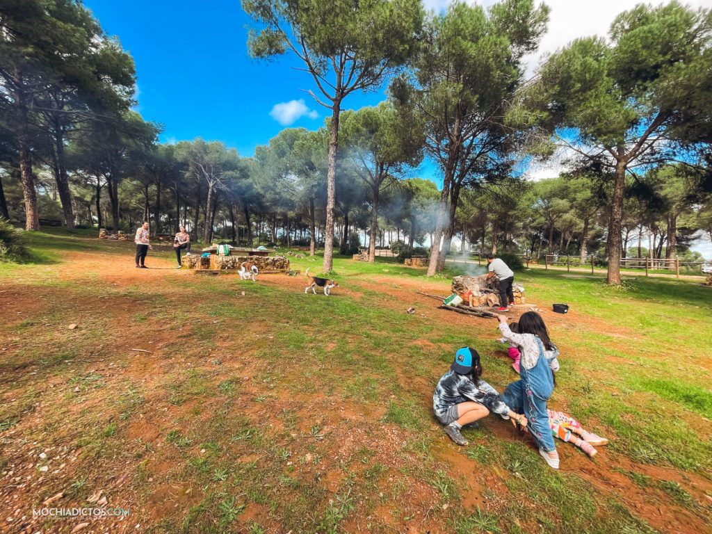 Planes posadas con niños