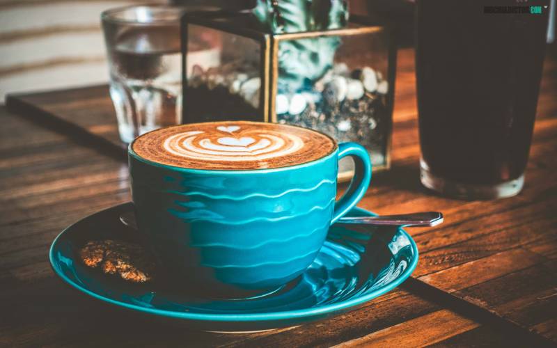 Que hacer en Nueva Zelanda