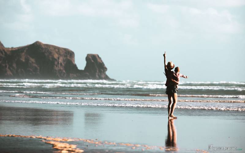 Que ver y hacer en Auckland