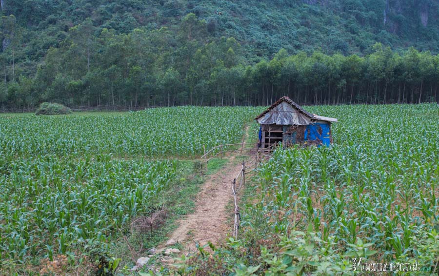 Alrededores de Phong-Nha, Vietnam