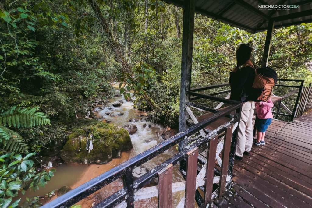 Trail 10 Cameron Highlands con niños