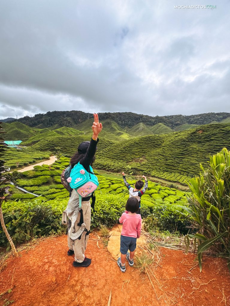 Vale la pena visitar Cameron Highlands