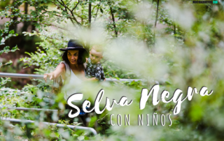 Viajar a la selva negra con niños