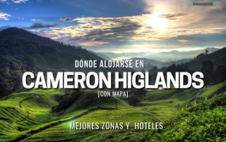 donde alojarse en Cameron Highlands