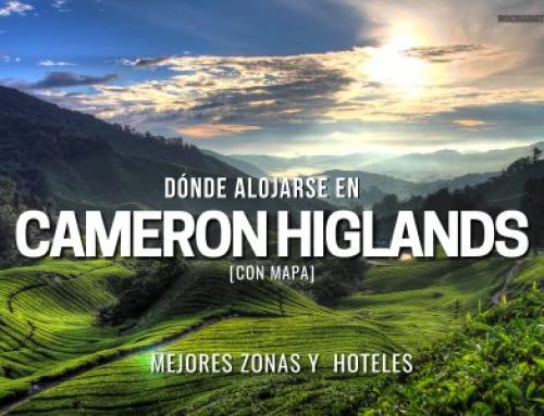 Dónde alojarse en Cameron Highlands: mejores zonas y hoteles