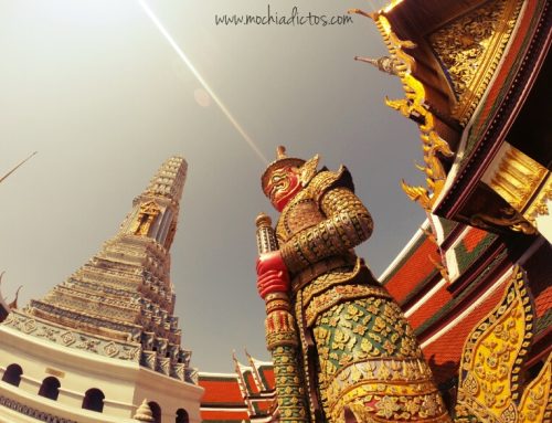 Bangkok en un día: Templos, combate de Muay Thai, MBK y China Town.