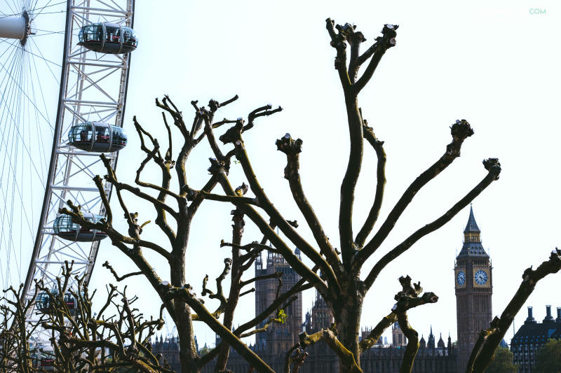 preciosas vistas de la noria de Londres y el Big ben