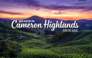 que hacer en Cameron Highlands guia viaje por libre