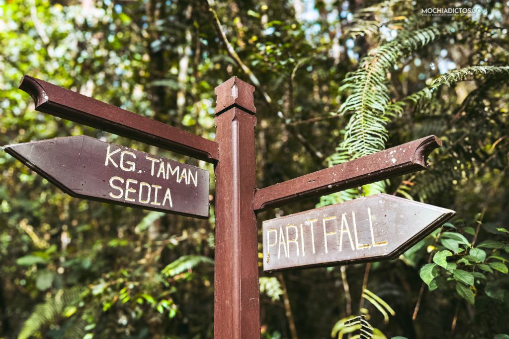 senderos que hacer en Cameron Higlands