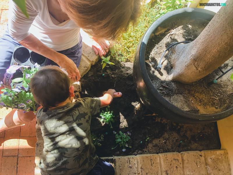 tareas para niños en casa