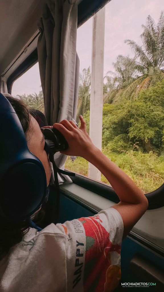 viajar en tren por Malasia con niños